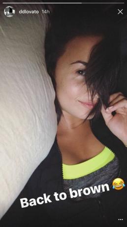 Demi Lovato - Snapchat bruna EMBED