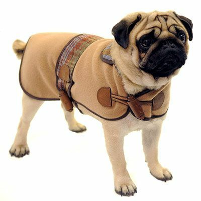 Moruše - stylové dárky - svetr pro psy