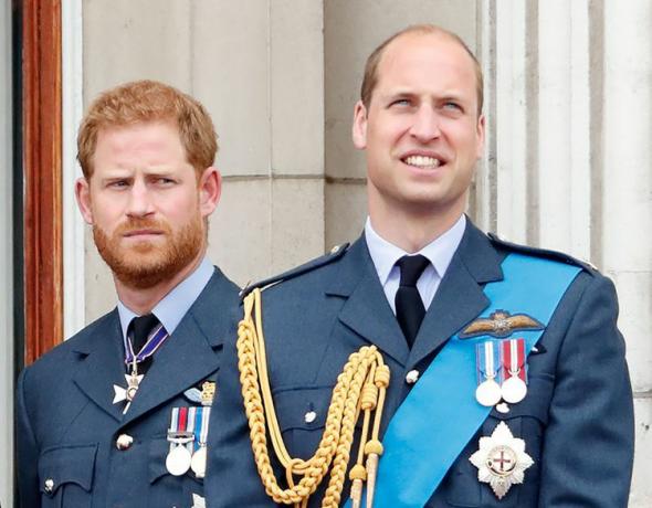 Prince William et Harry 2018 Palais de Buckingham de la Royal Air Force