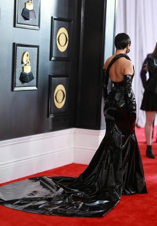Doja Cat - 2023 Grammy šaty zezadu