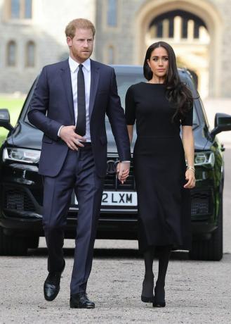 Prens Harry Meghan Markle